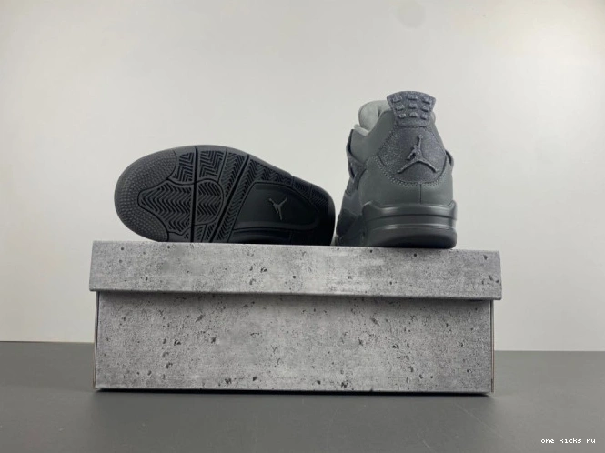 Rep Onekick Air 4 SE Jordan Olympics Paris 0801